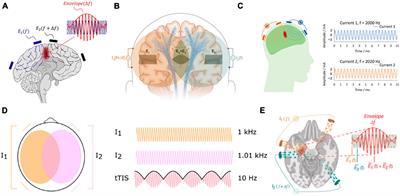 Visualizing interferential stimulation of human brains